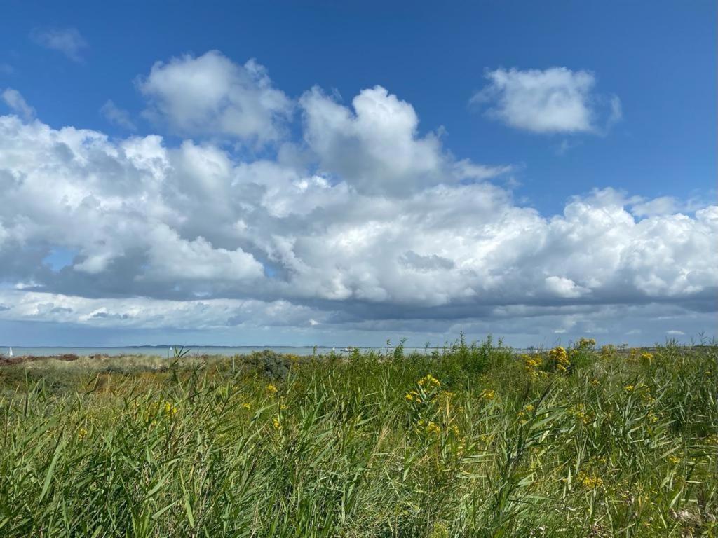 Willa Natuurhuis Zeeuwse Rust Voor Wandelingen Aan Zee, Fietstochten In Natuur En Culinair Genieten IJzendijke Zewnętrze zdjęcie